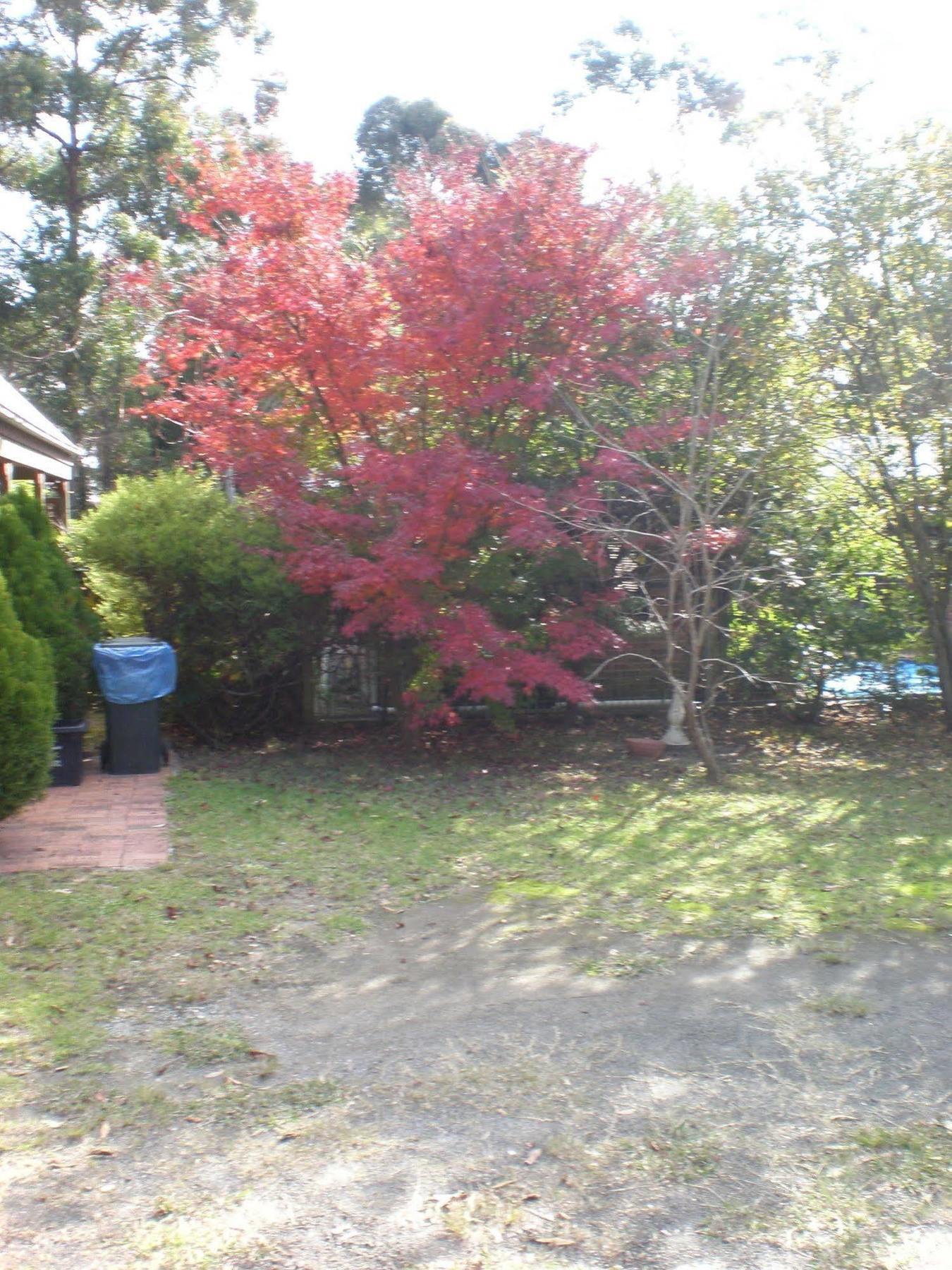 Bay And Bush Cottages Jervis Bay Huskisson Εξωτερικό φωτογραφία